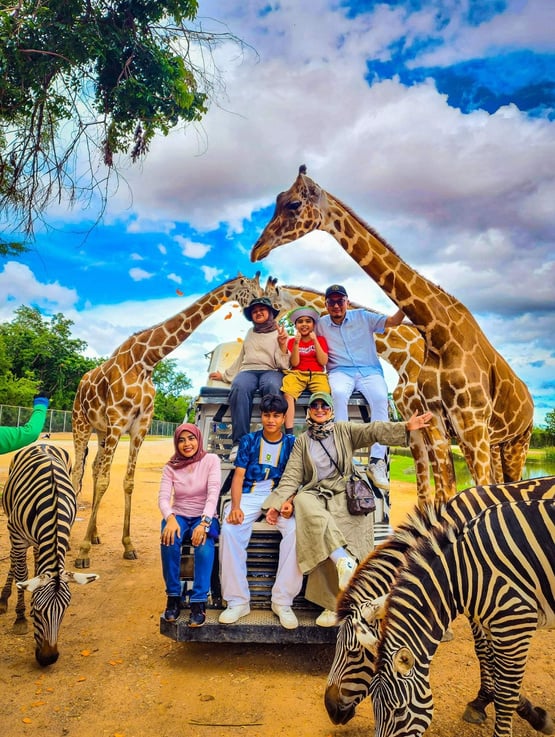 Bangkok, Thailand - a group of people on a safari with giraffes and zebras at Kanchanaburi Safari Park